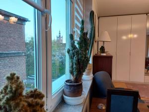 Mieszkanie w Gdańsku na Starym Mieście MARGOT