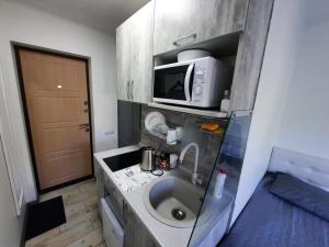 Посуточно мини-студия метро Дорогожичи Киев