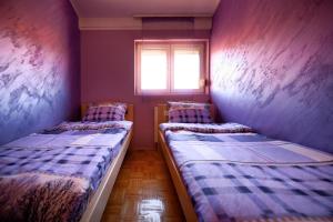 Apartman 23