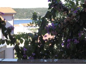 Apartments Villa Jagoda