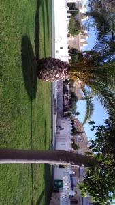 duplex en gran Alacant,(santa pola)