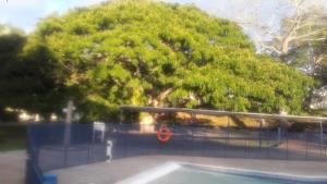 Valle lanceros Melgar