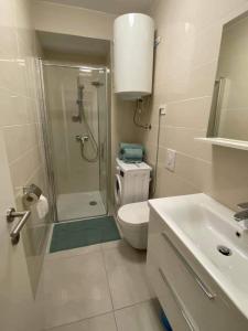 Apartma Šelih Mandre - Pag