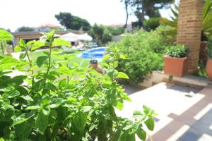 The Orange Grove Garden Room