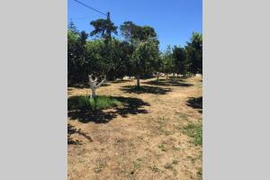 The Orange Grove Garden Room