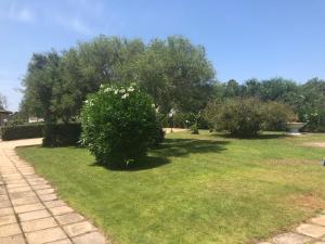 White Sand Residence img44