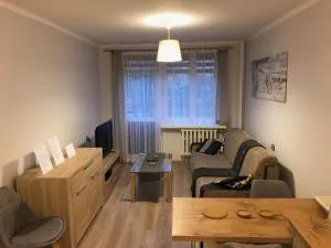 Apartament na Wierzbowej parter - Dziergowice