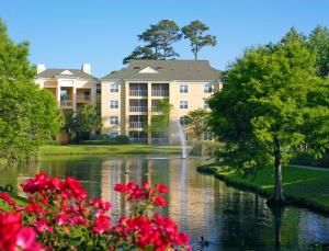 One-Bedroom Villa room in Stylish One Bedroom Villa for Sun-filled Adventure at Myrtle Beach