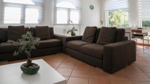 Prestigiosa Garden - Cala Gonone img2