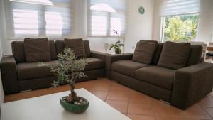 Prestigiosa Garden - Cala Gonone img19