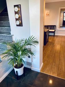 Apartamenty Różany Ogród