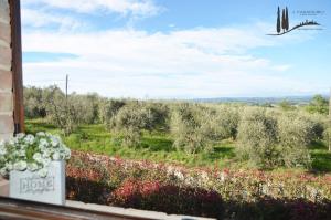 IL PARADISINO San Gimignanos Best Countryside