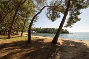 Apartments Sosic