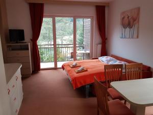 Apartment with Balcony room in Hotel Rakitna