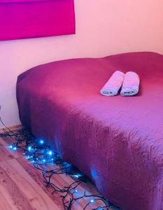 Žalioji stotelė butiko namukas dviems