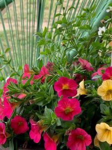 Žalioji stotelė butiko namukas dviems