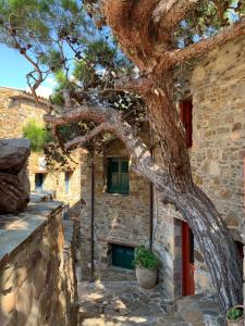 Lithos Homes Chios-Island Greece