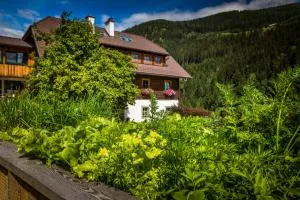 Tonibauer - 塔姆斯韦格