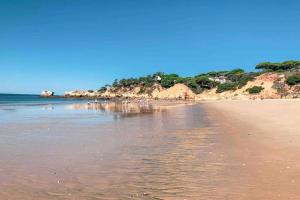 Plant Paradise Apartment