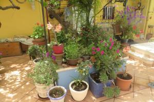 Finca Cortez Apartment 2