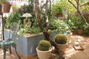 Finca Cortez Apartment 2