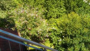 Galerie Ueber den Gaerten