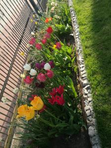 POKOJE GOŚCINNE BRYZA