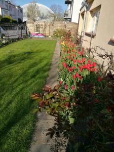 POKOJE GOŚCINNE BRYZA