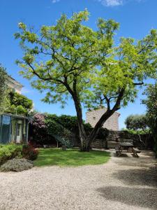 Maisons d'hotes Suite privee Tavel - Le Mas de l Acacia : photos des chambres