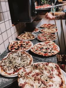 Mountain Hostel Gimmelwald