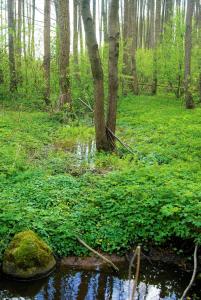 Łosiowate Gospodarstwo Agroturystyczne
