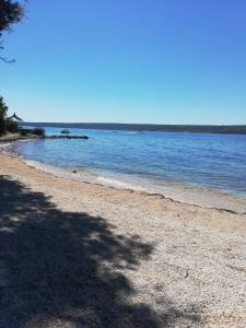 Apartmani Knežević