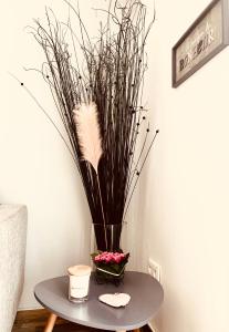 APPARTEMENT LES COLLINES