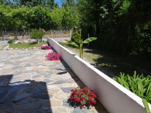 CHRISTOS Apartments Olympos Greece