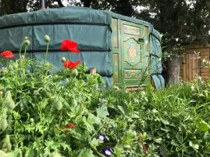Mill Stream Yurt - Shute