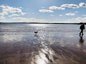 BEACHES - South Sands beach house