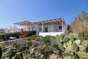 Villa Diorite by Rocks Estates Paros Greece