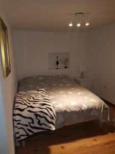 Central Apartment Madrid