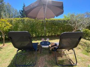 Apartment Punta Premantura E with garden 