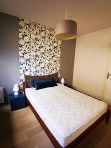 Appartements Le grand briochin : photos des chambres