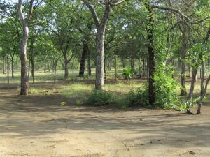 Pafuri Gate Guesthouse