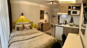 Center Deluxe studio