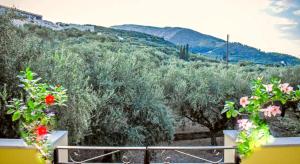 Olive Grove Private Residence Zakynthos Greece