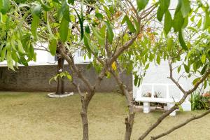 Kingston Vacation Rentals at Delightful Townhouse near Halfway Tree, Kingston