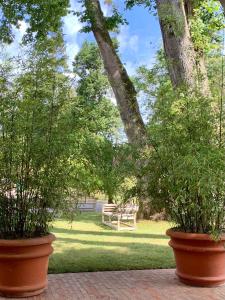 Hotels Beaumanoir Small Luxury Boutique Hotel : photos des chambres