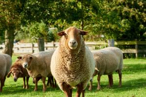 Room and kitchen im Katerberg