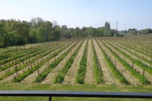 Maisons de vacances GRANGE LA BIGARDERIE : photos des chambres