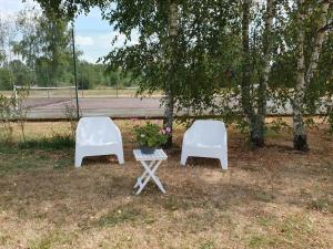 Maisons de vacances Gite Cheverny, 2 pieces, 3 personnes - FR-1-491-13 : photos des chambres