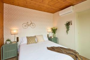 Casa Cosi - Industria