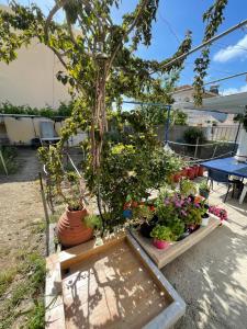 House with garden in Daskalopetra, Vrontados Chios-Island Greece